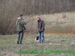 Hundetræning forår 2015
